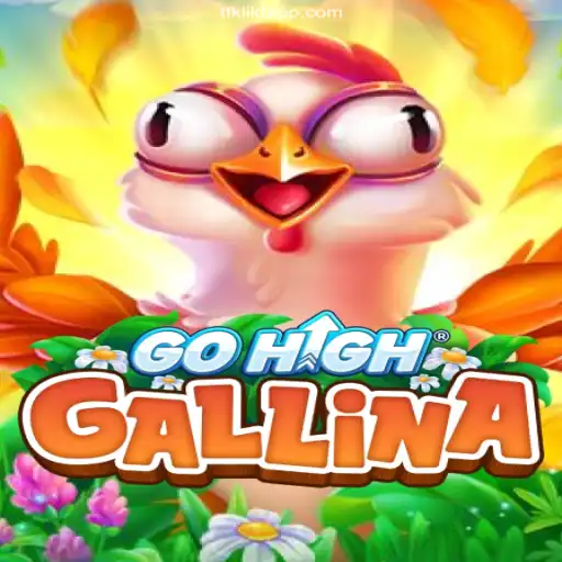 Discovering the World of GoHighGallina: A Thrilling Gaming Experience
